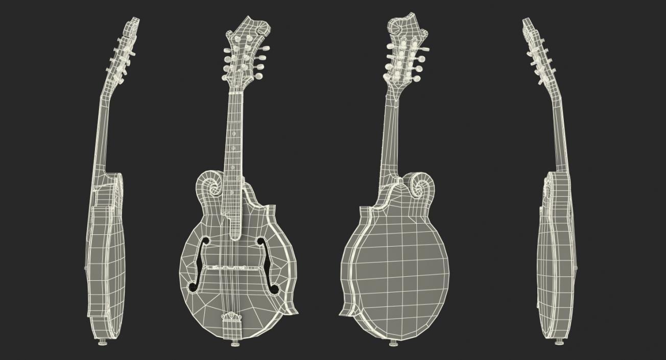 3D Stringed Instruments 3D Models Collection 3 model