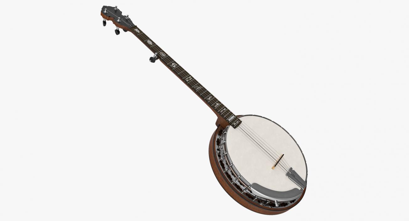 3D Stringed Instruments 3D Models Collection 3 model