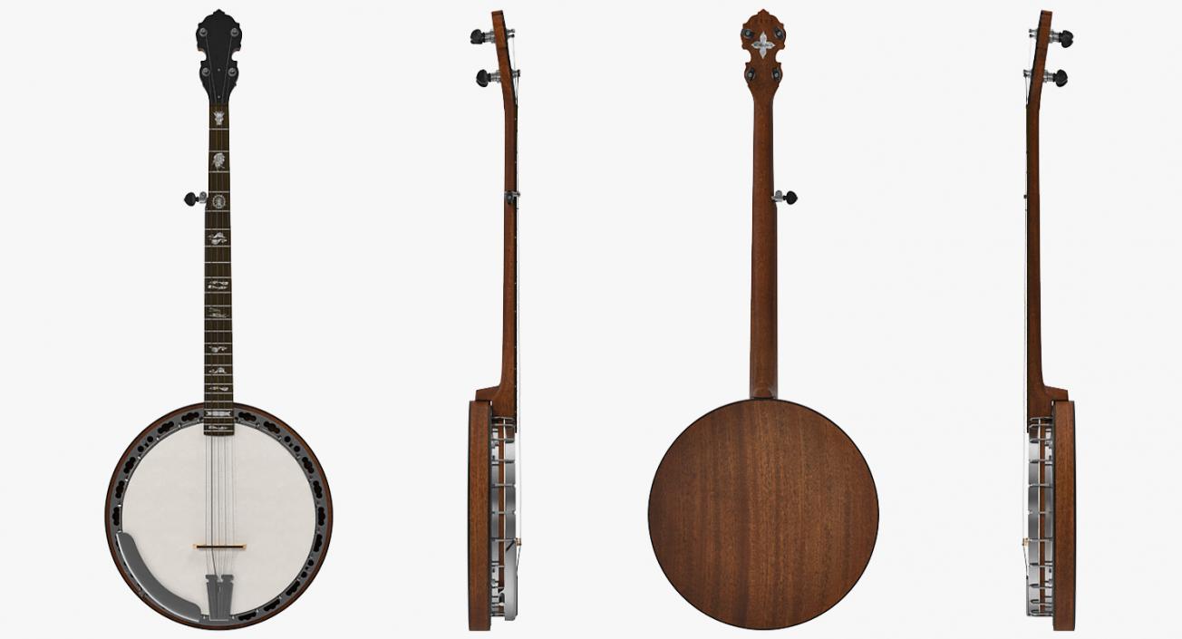 3D Stringed Instruments 3D Models Collection 3 model