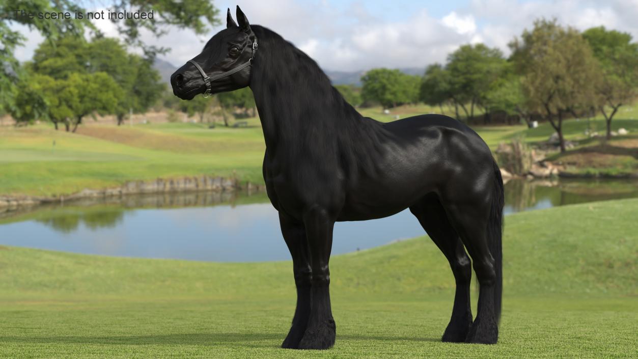 3D model Friesian Horse Fur Rigged