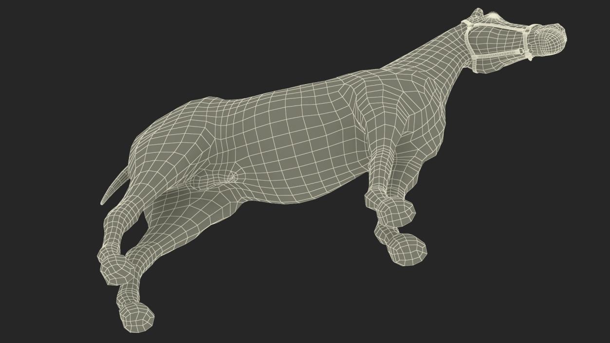 3D model Friesian Horse Fur Rigged