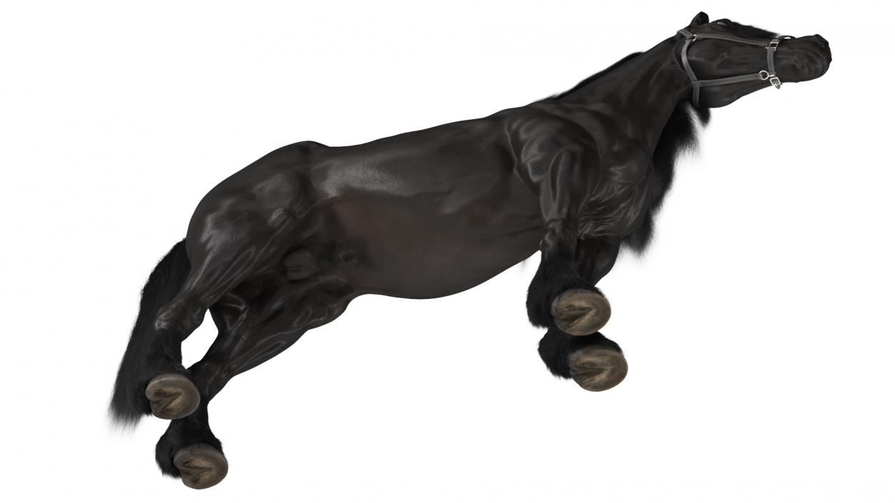 3D model Friesian Horse Fur Rigged