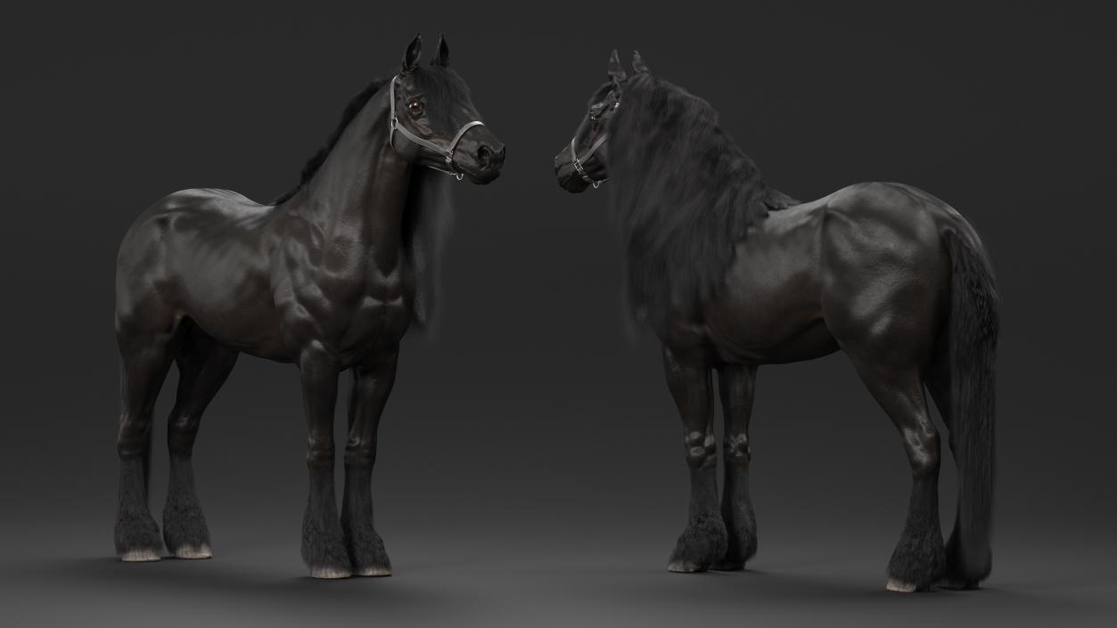 3D model Friesian Horse Fur Rigged