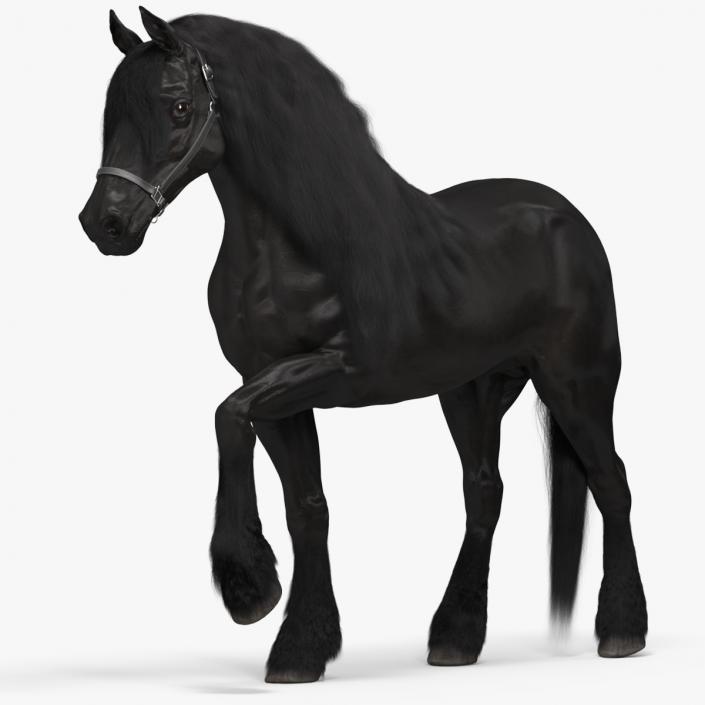 3D model Friesian Horse Fur Rigged