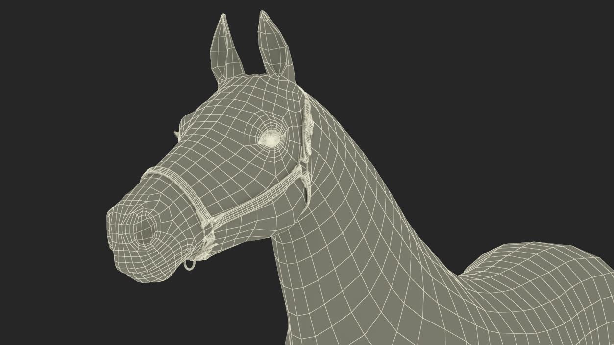 3D model Friesian Horse Fur Rigged