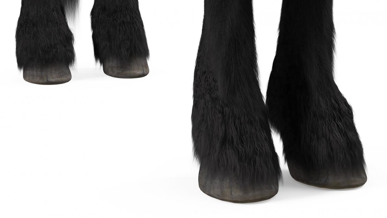 3D model Friesian Horse Fur Rigged