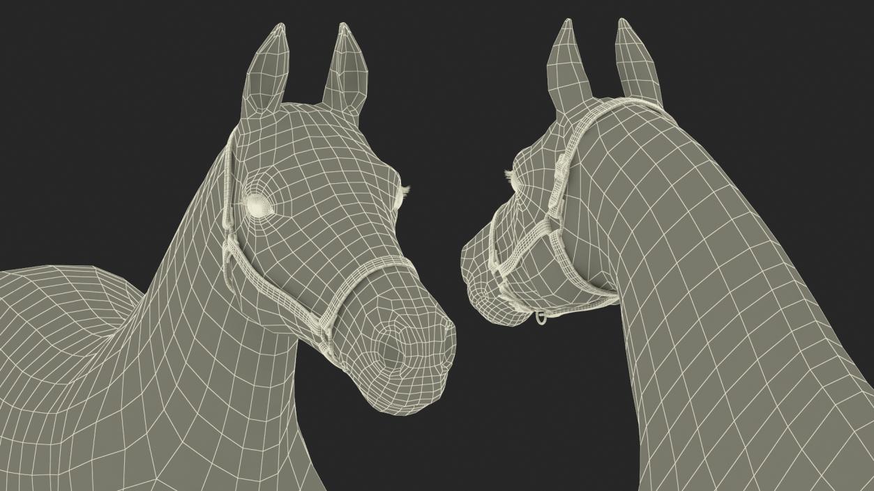 3D model Friesian Horse Fur Rigged