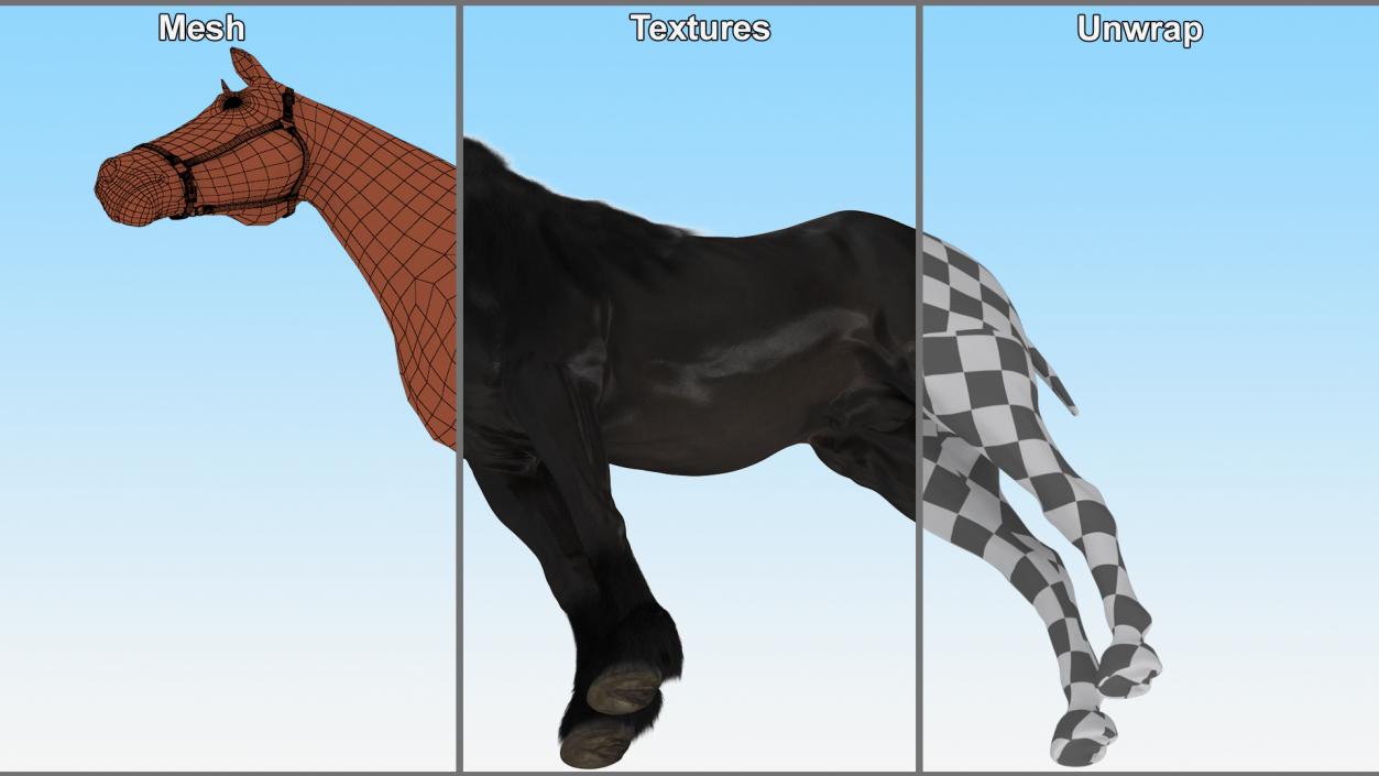 3D model Friesian Horse Fur Rigged