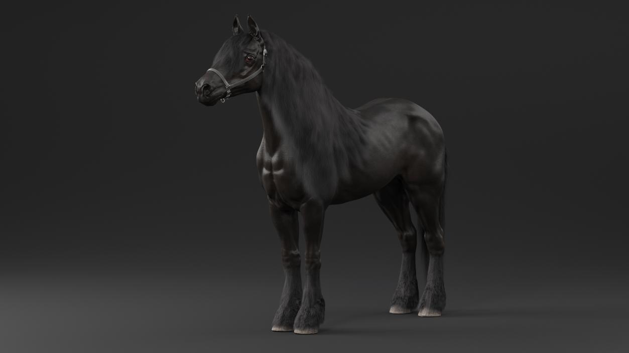 3D model Friesian Horse Fur Rigged