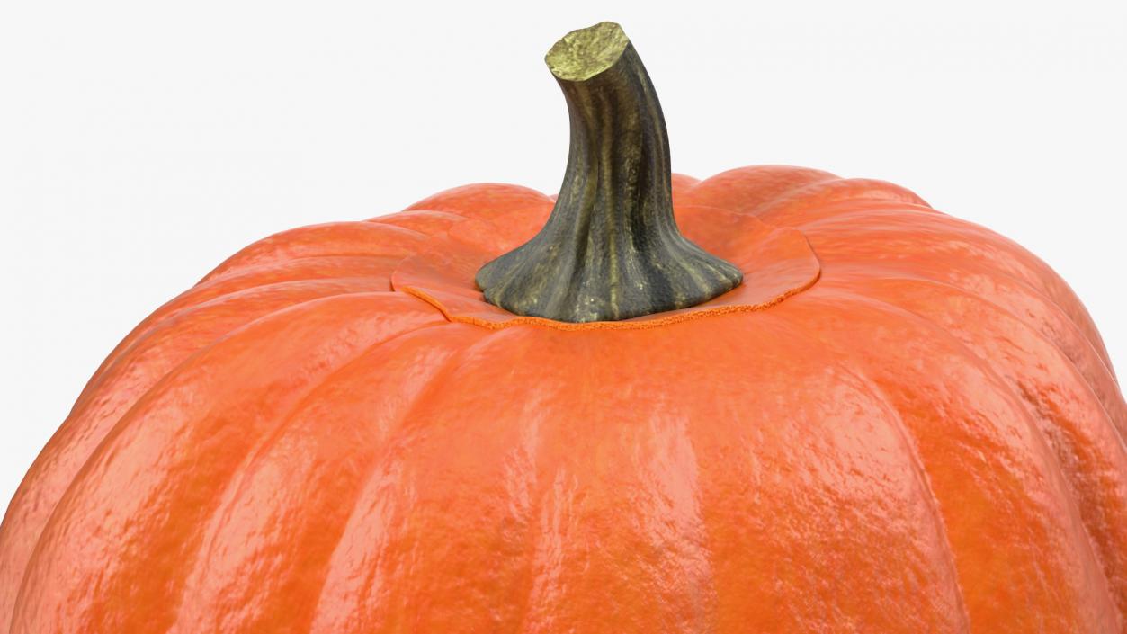 3D Scary Halloween Pumpkin model