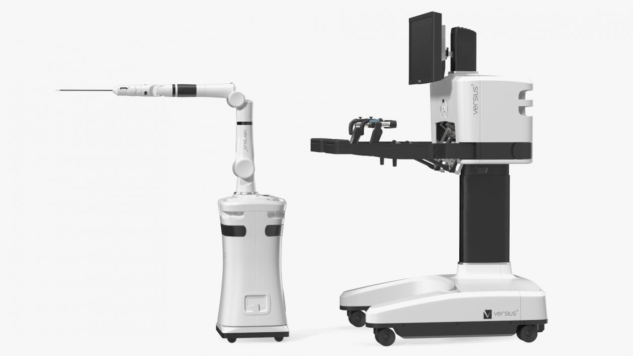 3D CMR Surgical Versus Rigged