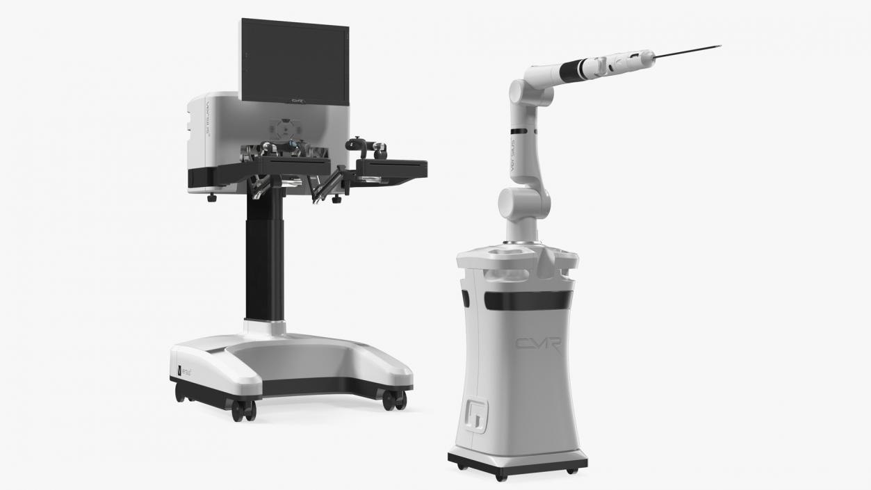 3D CMR Surgical Versus Rigged