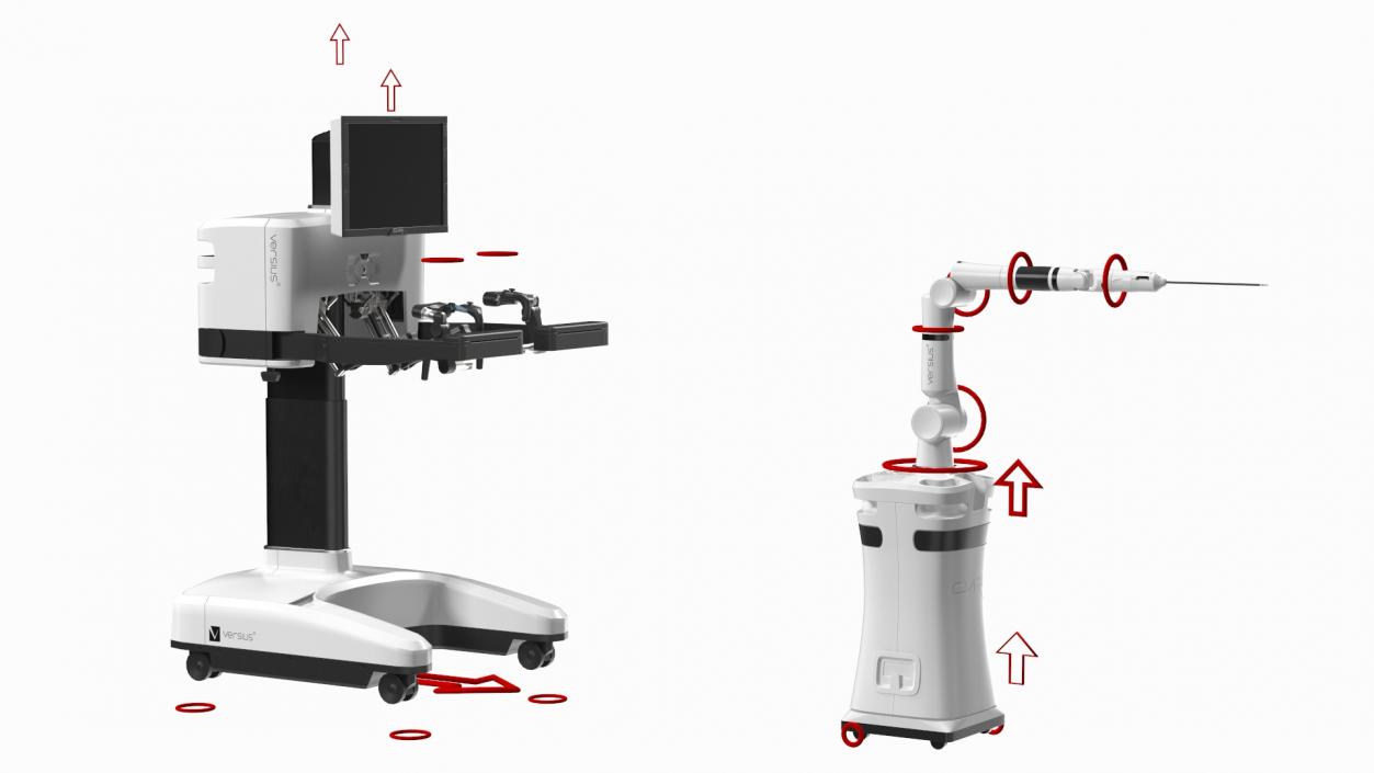 3D CMR Surgical Versus Rigged