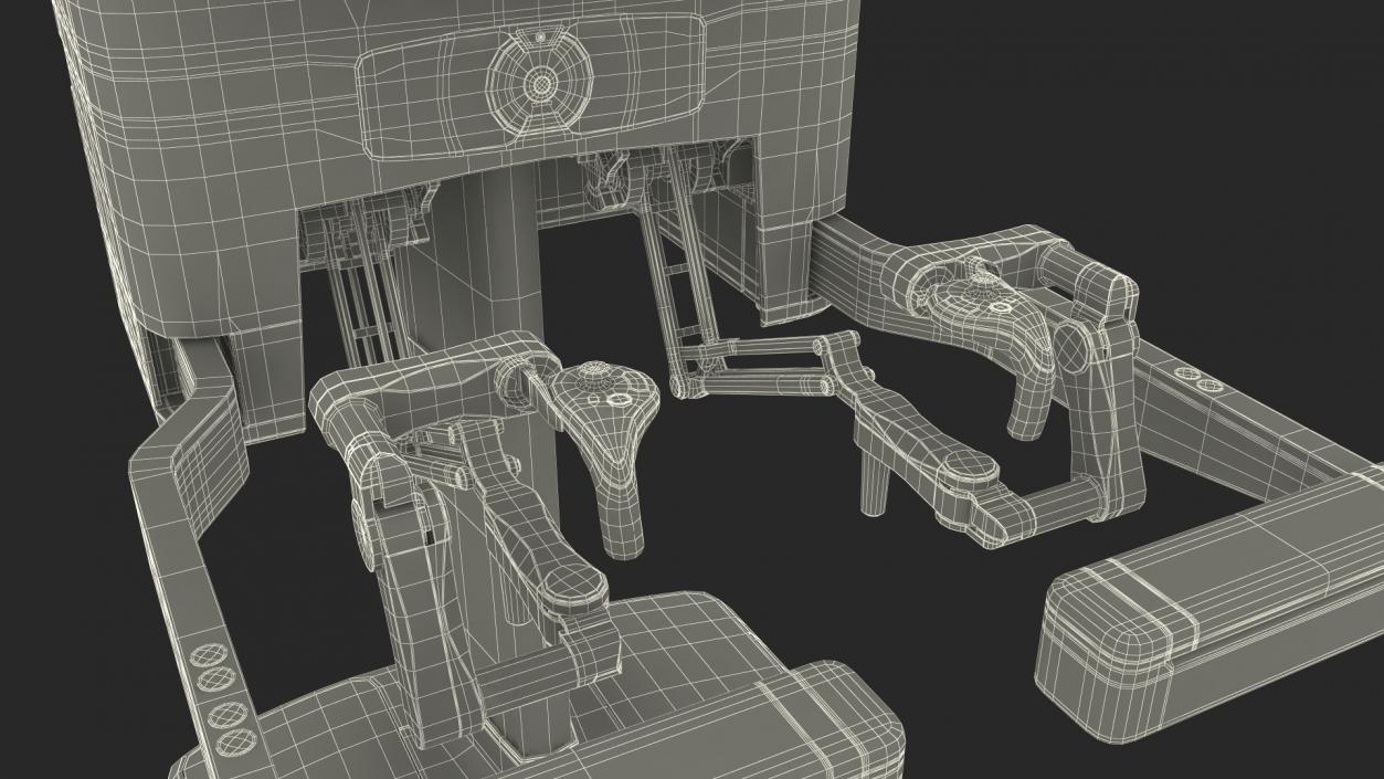 3D CMR Surgical Versus Rigged