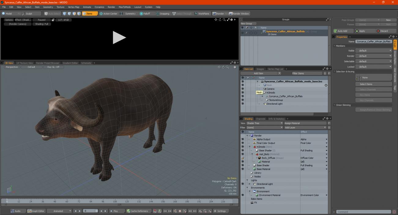 3D Syncerus Caffer African Buffalo