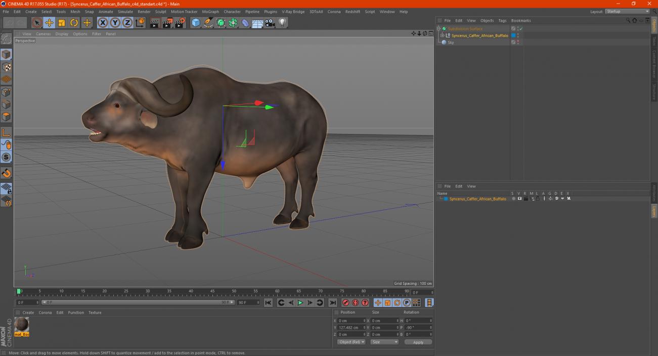 3D Syncerus Caffer African Buffalo