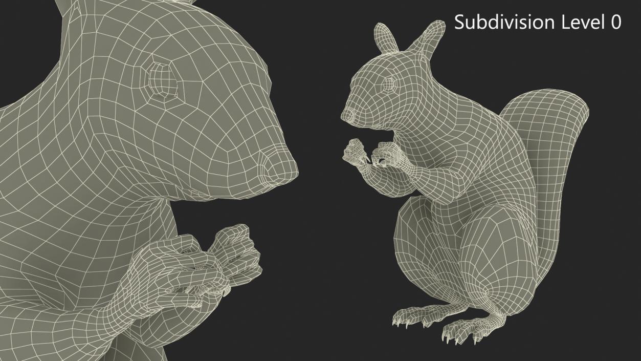 3D model Gray Squirrel in a Sitting Pose Fur