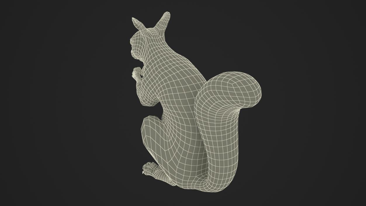 3D model Gray Squirrel in a Sitting Pose Fur