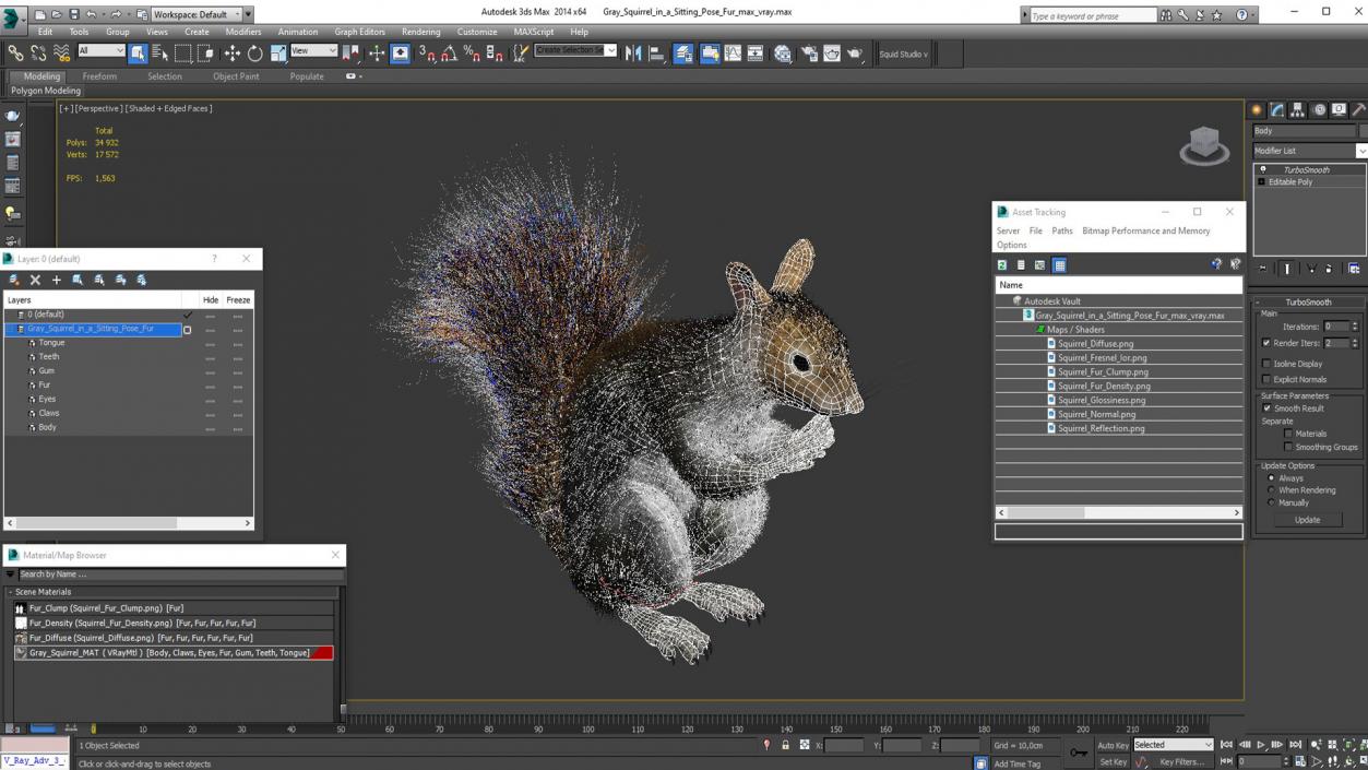 3D model Gray Squirrel in a Sitting Pose Fur