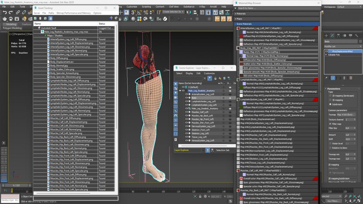 3D Male Leg Realistic Anatomy