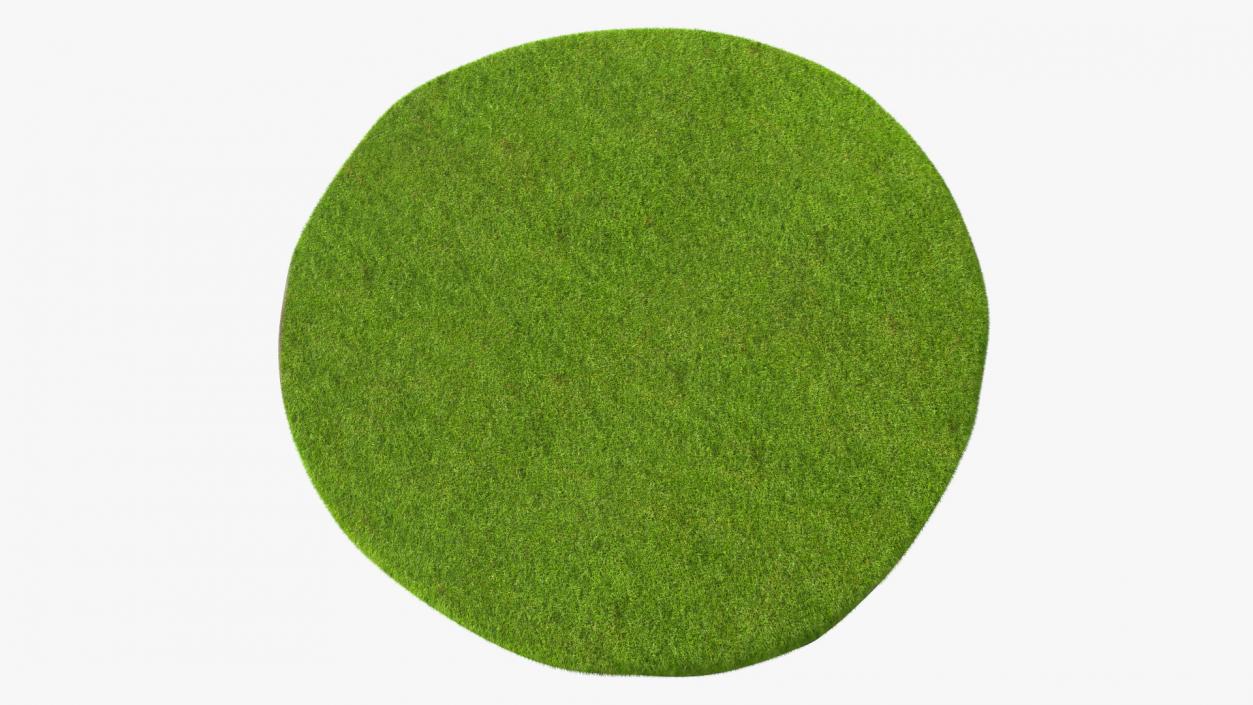 Round Soil Ground Cross Section with Green Grass Fur 3D