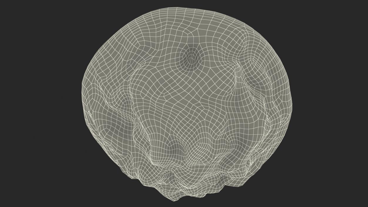 Round Soil Ground Cross Section with Green Grass Fur 3D