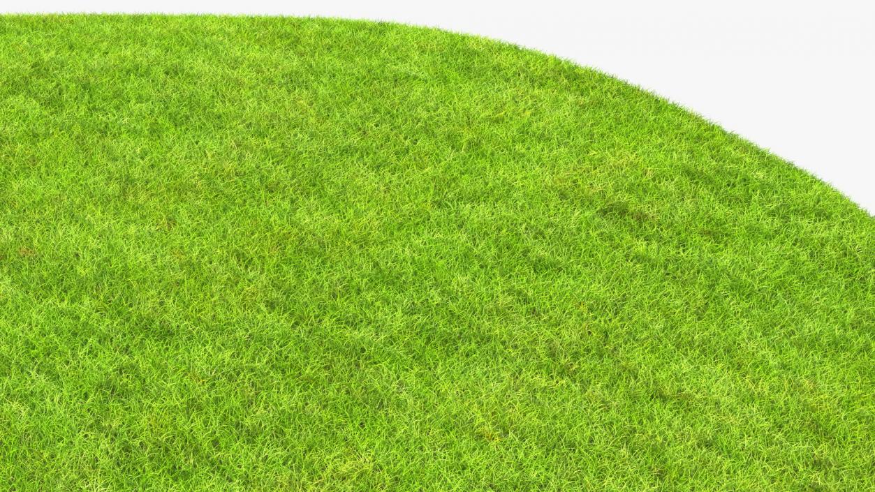 Round Soil Ground Cross Section with Green Grass Fur 3D