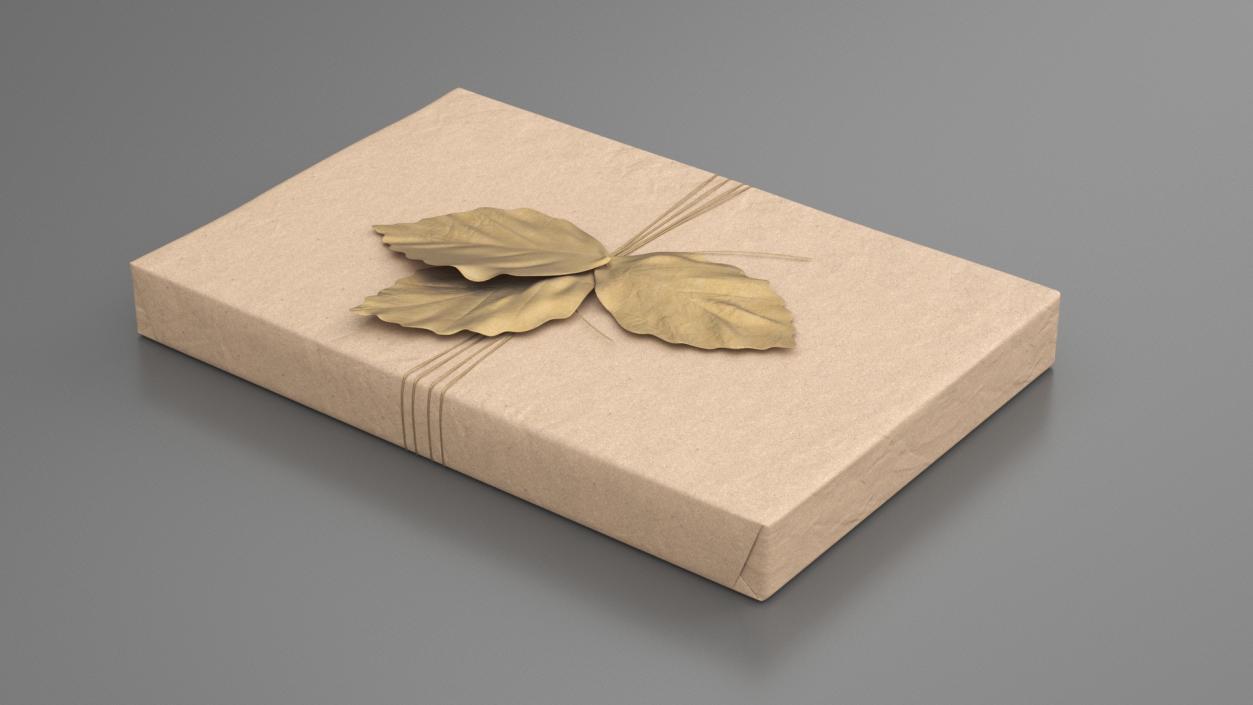 Gift Box with Decorative Leaf 3D model