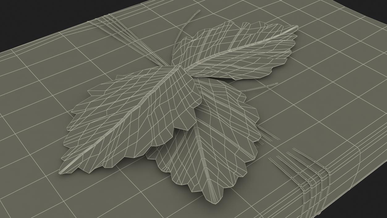 Gift Box with Decorative Leaf 3D model