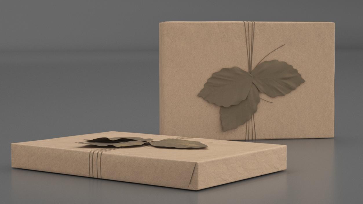 Gift Box with Decorative Leaf 3D model