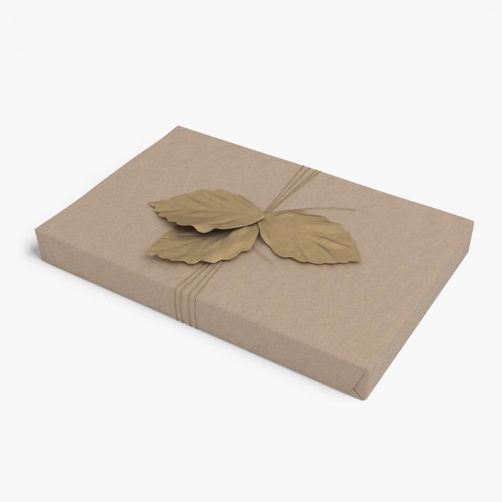 Gift Box with Decorative Leaf 3D model