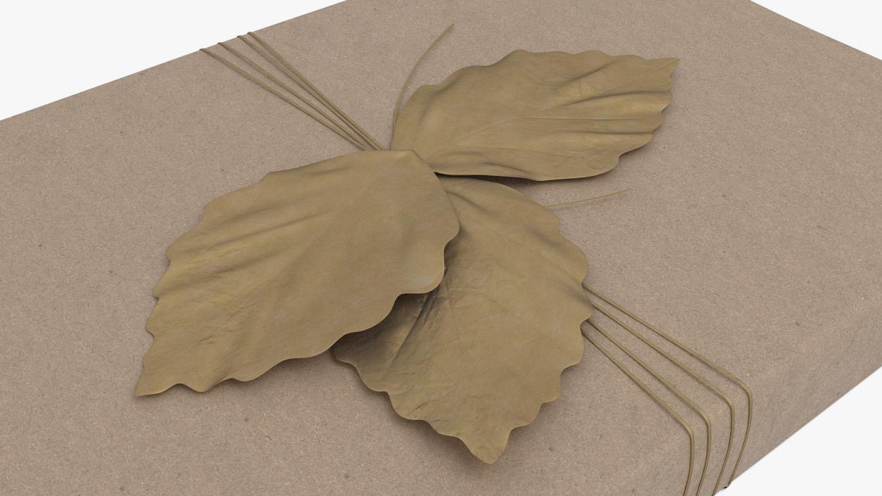 Gift Box with Decorative Leaf 3D model