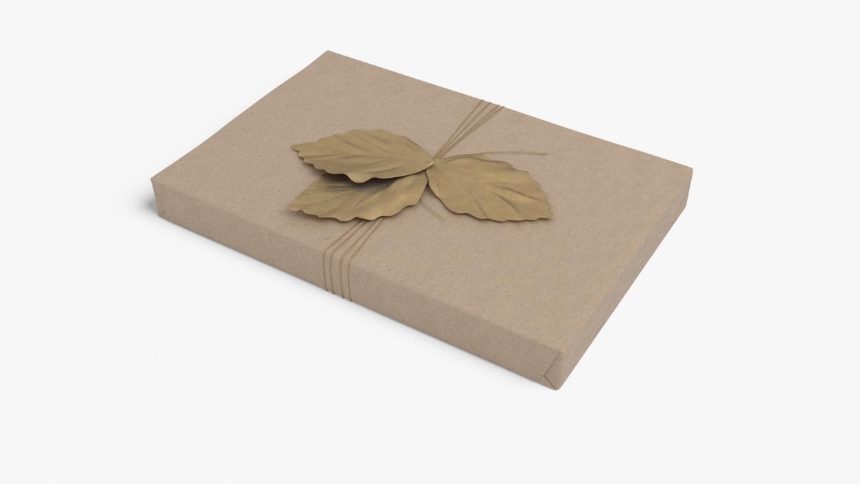 Gift Box with Decorative Leaf 3D model