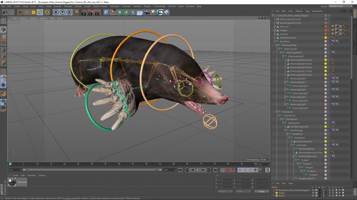 3D European Mole Animal Rigged for Cinema 4D