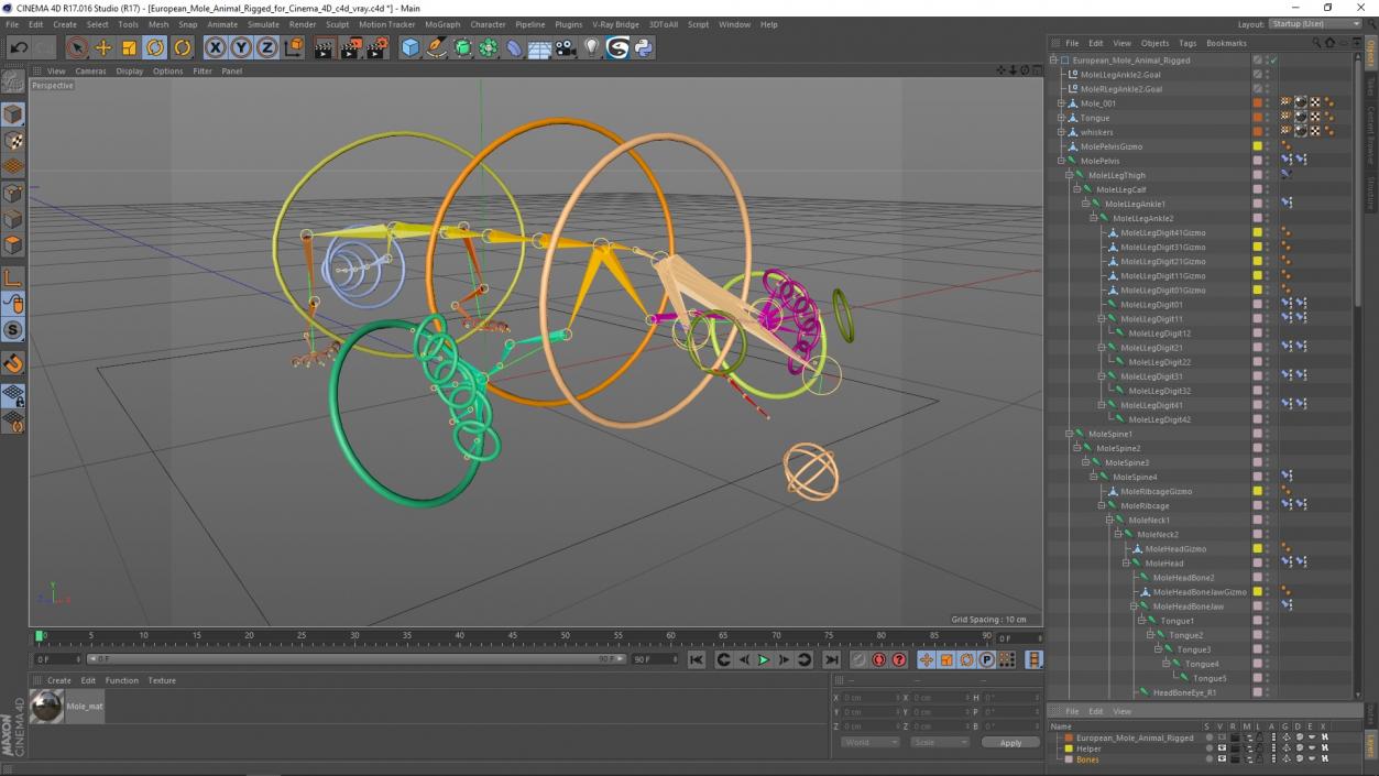 3D European Mole Animal Rigged for Cinema 4D