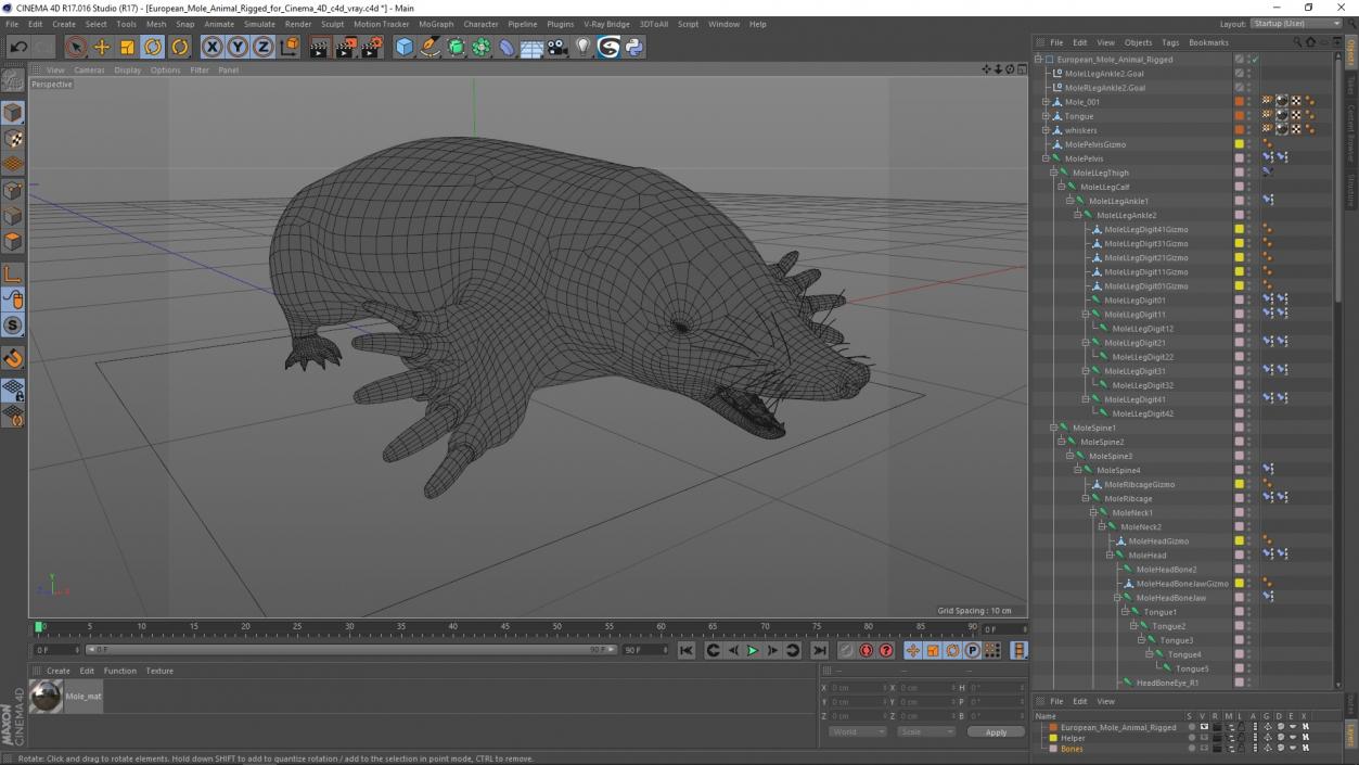 3D European Mole Animal Rigged for Cinema 4D