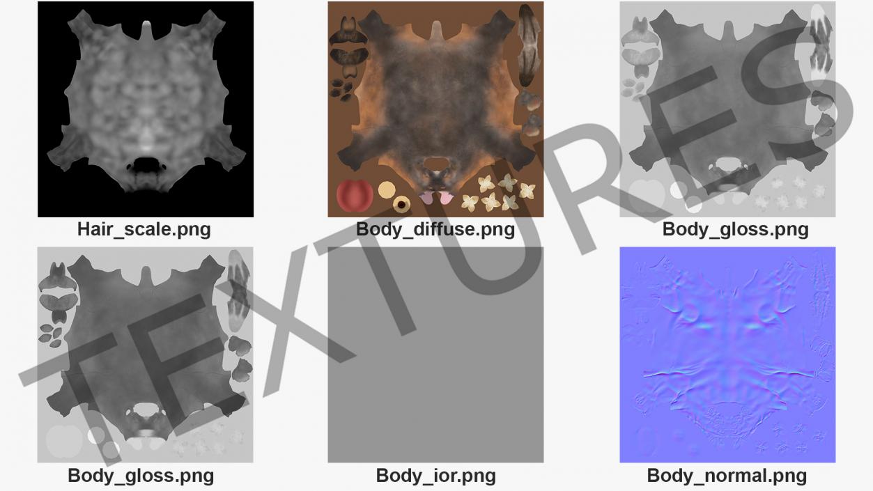 African Buffalo Attacking Pose with Fur 3D model