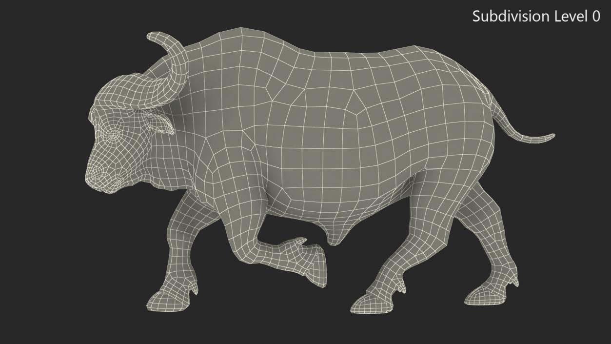 African Buffalo Attacking Pose with Fur 3D model