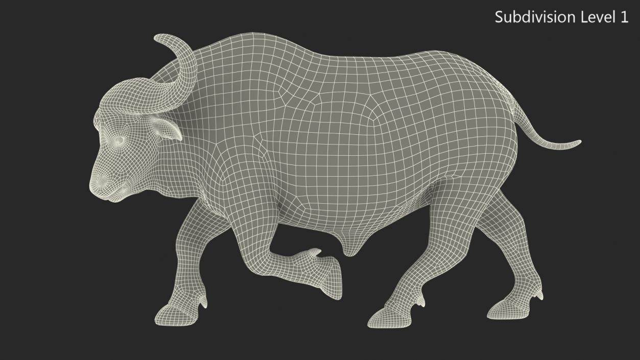 African Buffalo Attacking Pose with Fur 3D model