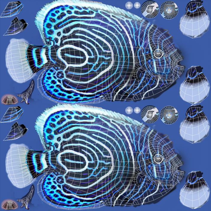 3D Pomacanthus Imperator Fish