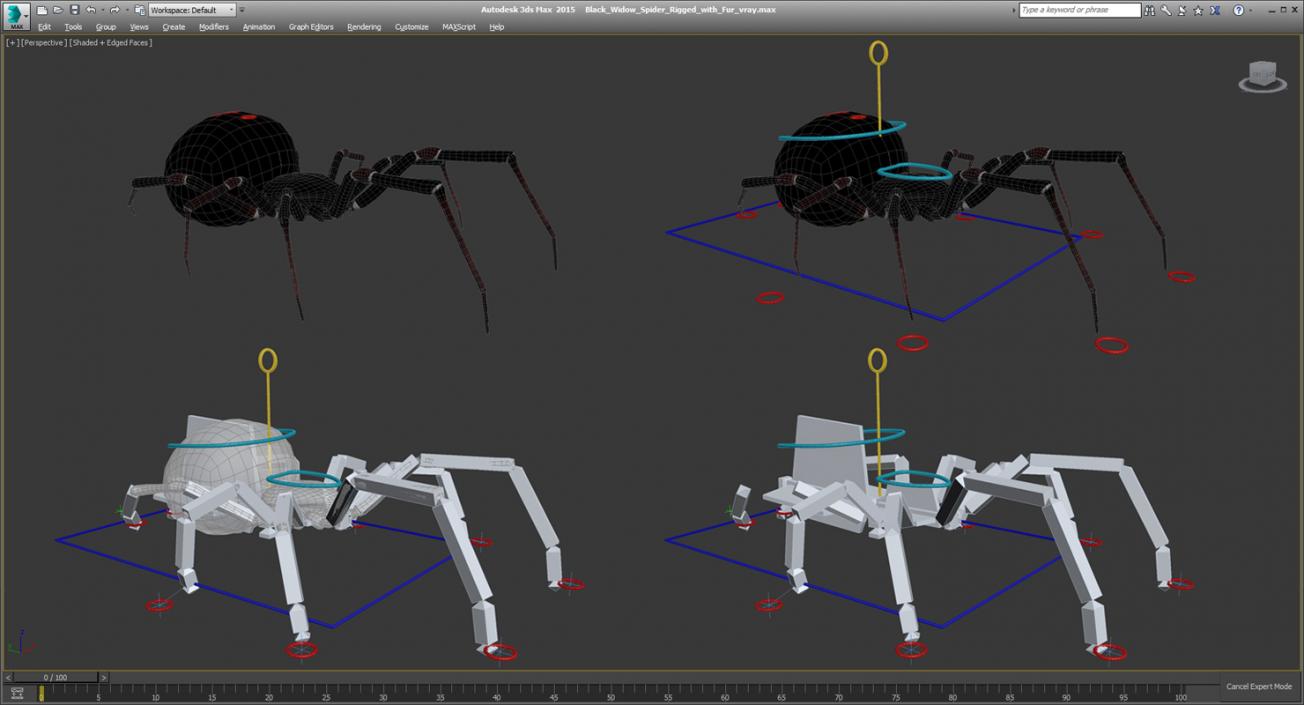 Black Widow Spider Rigged with Fur 3D model