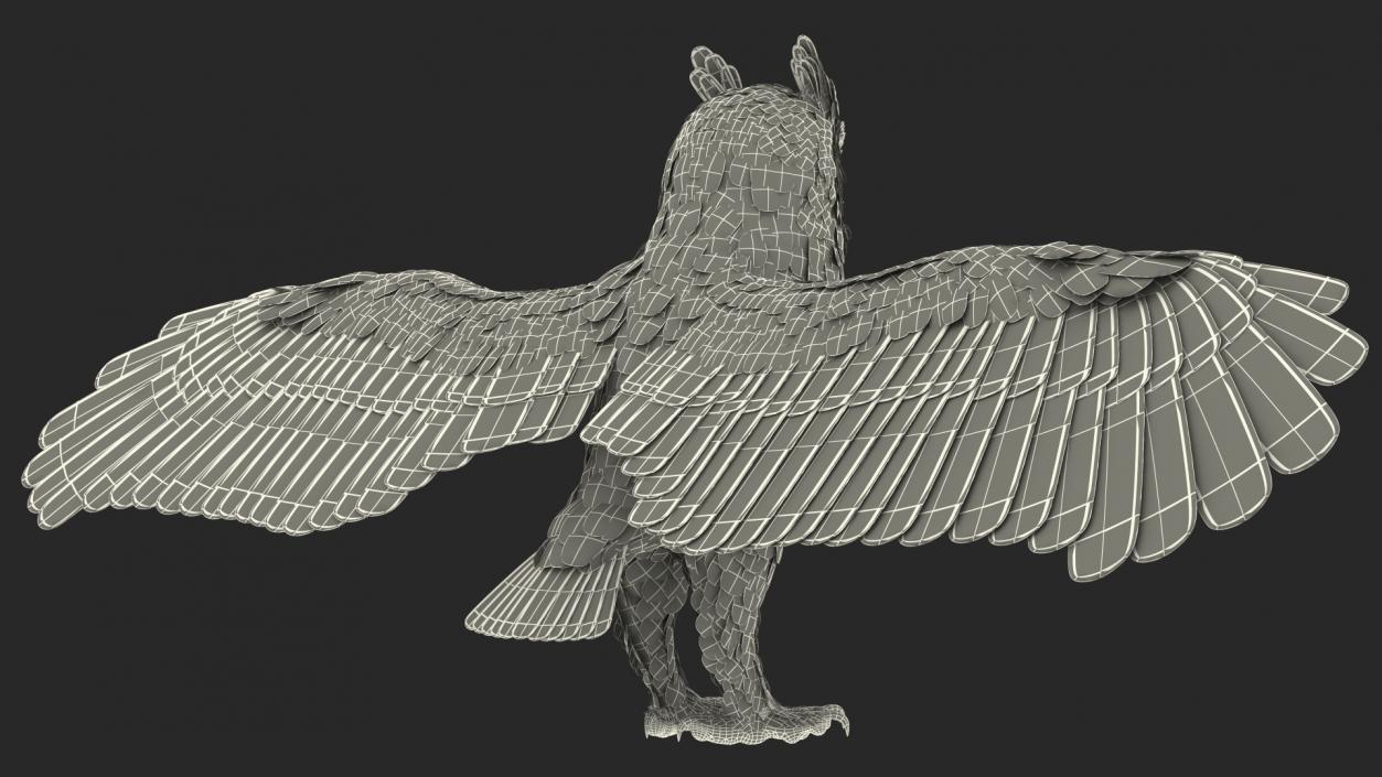 Owls Rigged Collection 3D