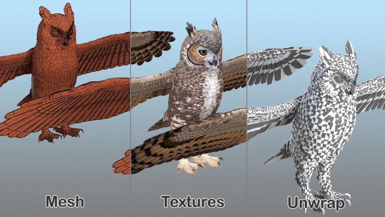 Owls Rigged Collection 3D