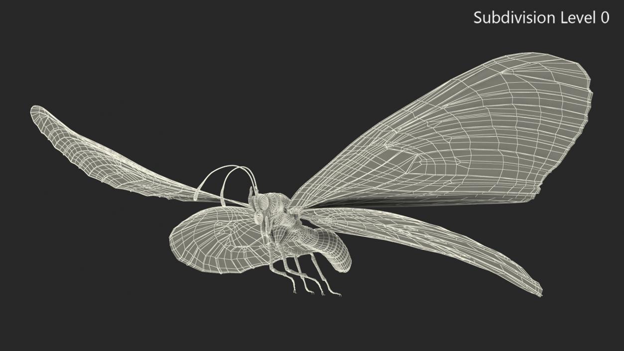 3D model Animated Flying Monarch Butterfly Rigged