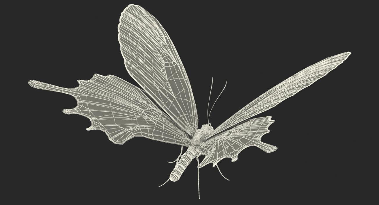 Butterflies Collection 4 3D model