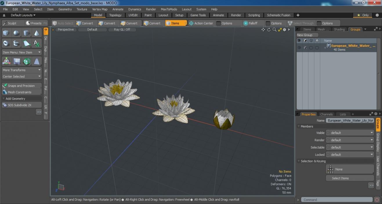 3D European White Water Lily Nymphaea Alba Set model