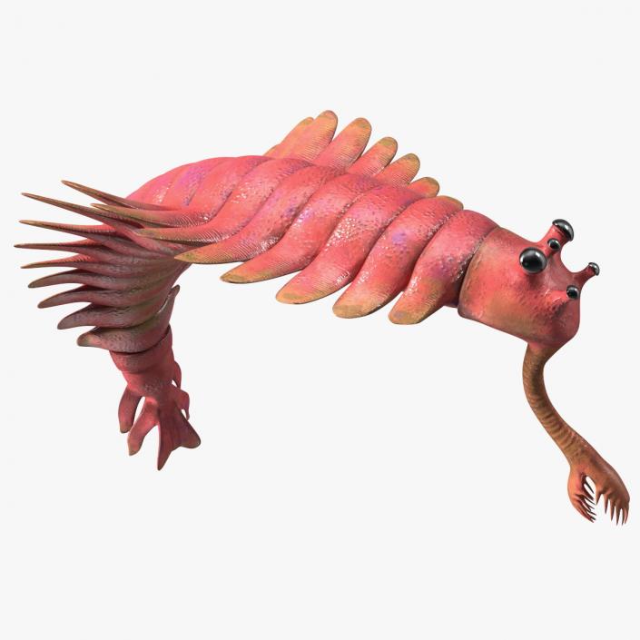 3D Pink Opabinia Flip model