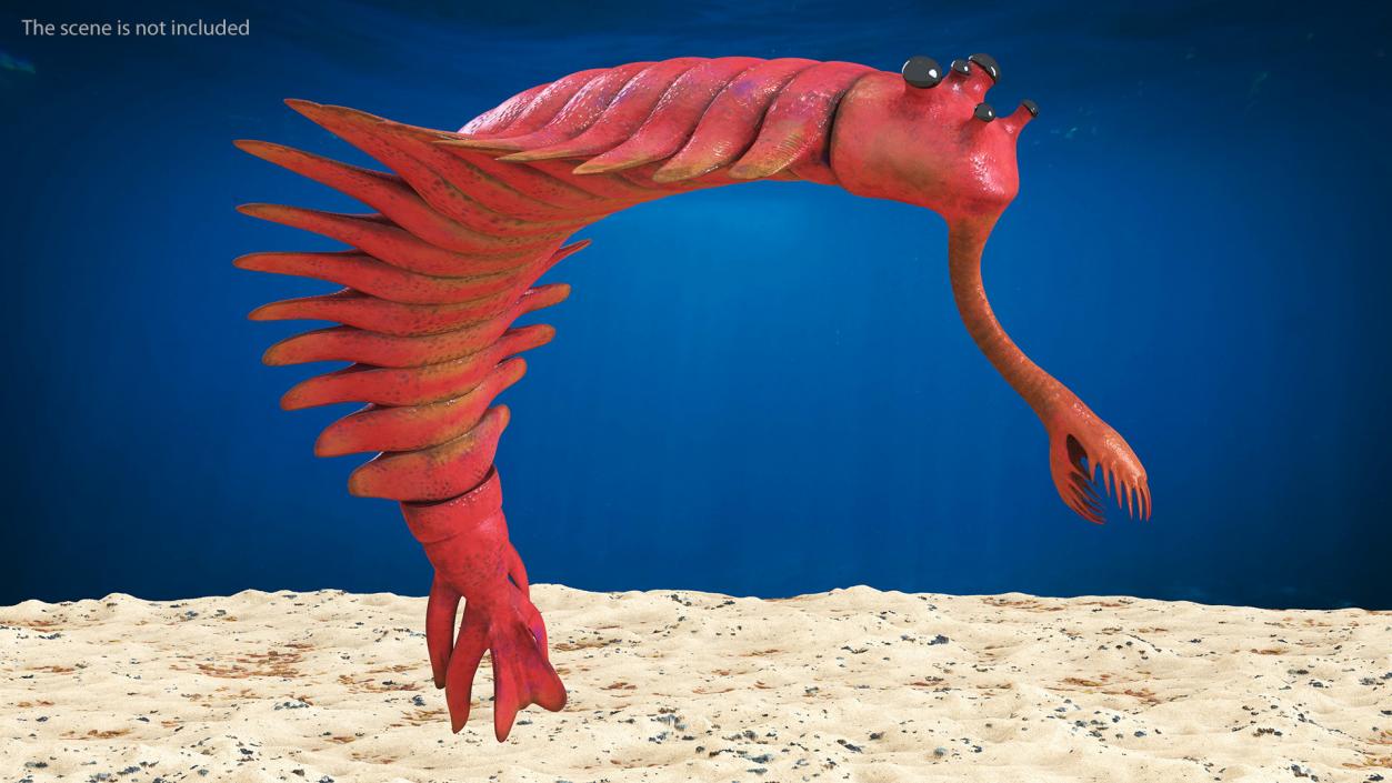 3D Pink Opabinia Flip model