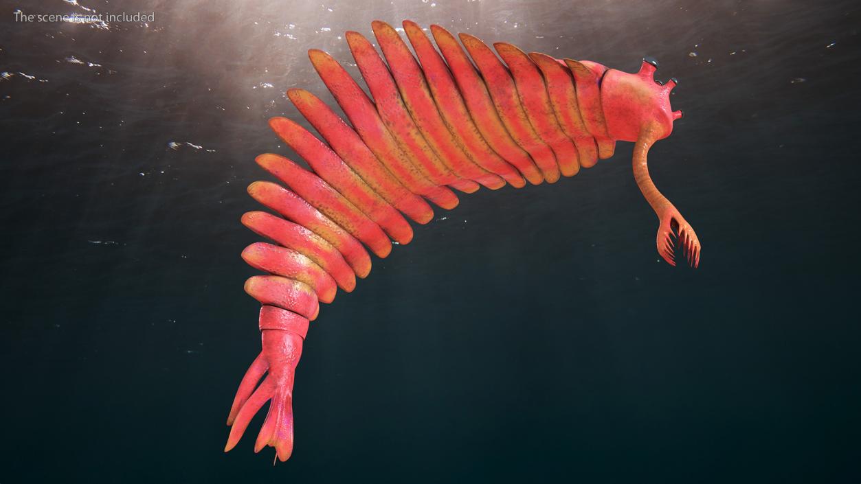 3D Pink Opabinia Flip model