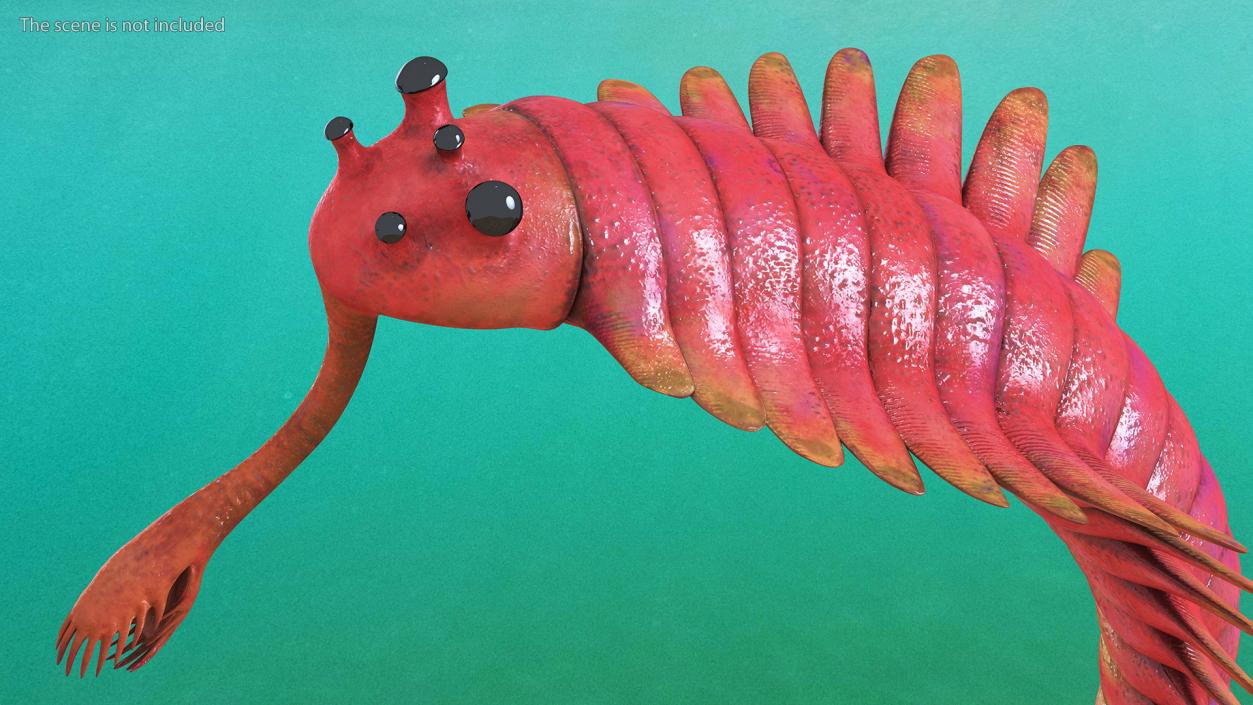 3D Pink Opabinia Flip model